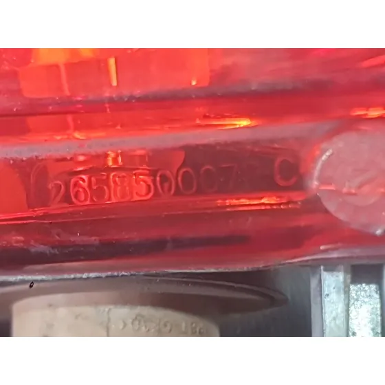Piloto Trasero Izquierdo Paragolpes para Renault Scenic Iii (Jz0/1_)