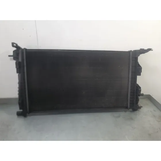 Radiador Agua para Renault Scenic Iii (Jz0/1_)