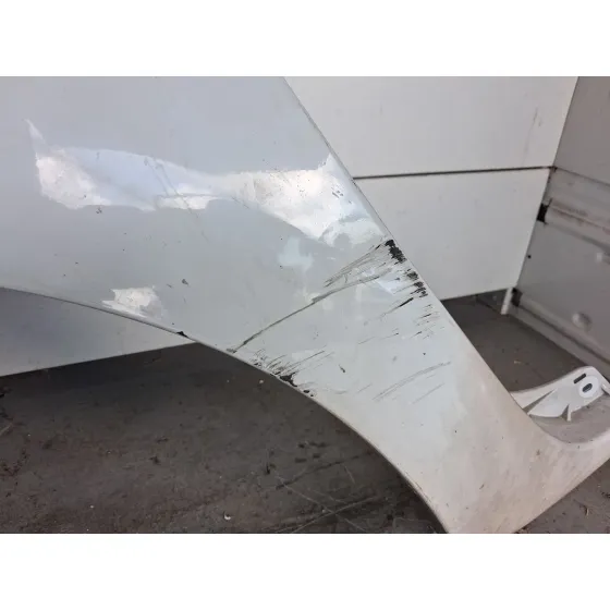 Aleta Delantera Izquierda para Renault Kangoo / Grand Kangoo Ii (Kw0/1_)