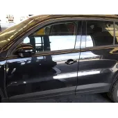 Puerta Delantera Izquierda para Volkswagen Tiguan (5N_)
