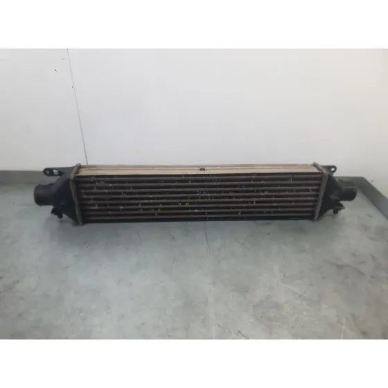 Intercooler para Fiat Doblo Cargo (263_)