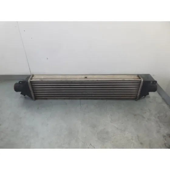 Intercooler para Fiat Doblo Cargo (263_)