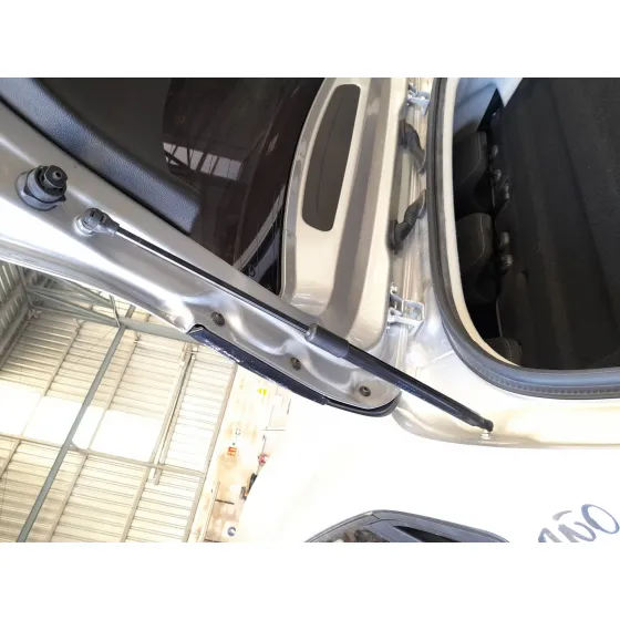 Amortiguadores Maletero / Porton para Renault Clio V (B7_)
