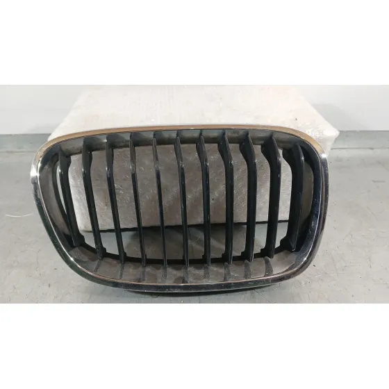Rejilla Delantera para Bmw 1 (F20)