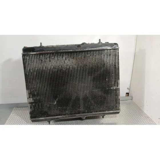 Radiador Agua para Peugeot 308 I (4A_, 4C_)