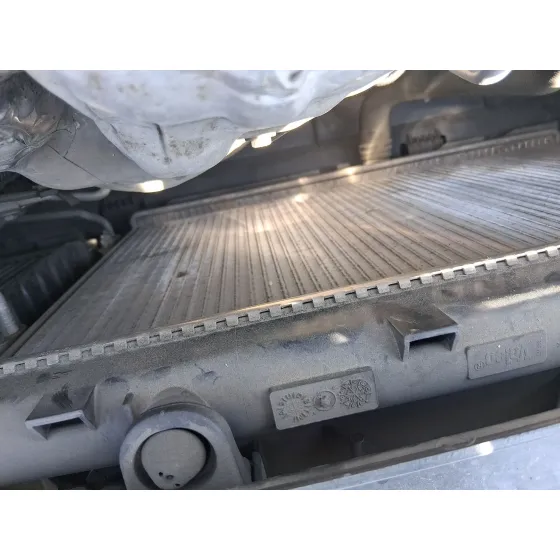 Radiador Agua para Peugeot 308 I (4A_, 4C_)