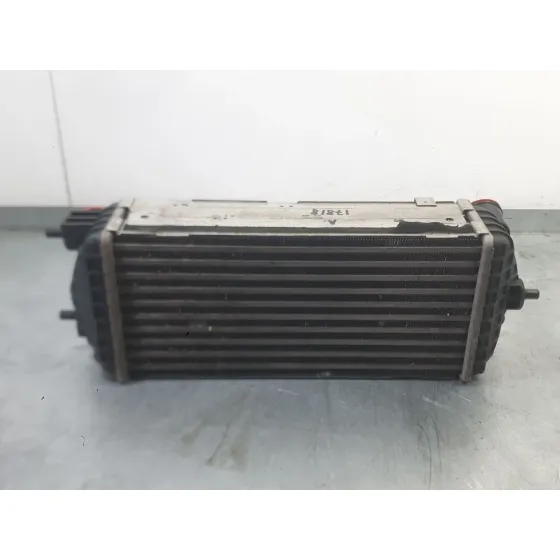 Intercooler para Kia Carens Iv