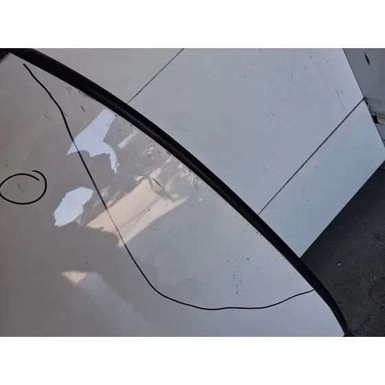 Puerta Trasera Derecha para Kia Carens Iv