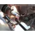 Amortiguador Delantero Izquierdo para Fiat Tipo Station Wagon (356_, 357_)