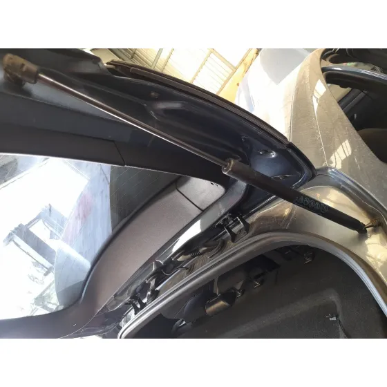 Amortiguadores Maletero / Porton para Ford Focus Iv (Hn)