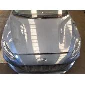 Capot para Ford Focus Iv (Hn)