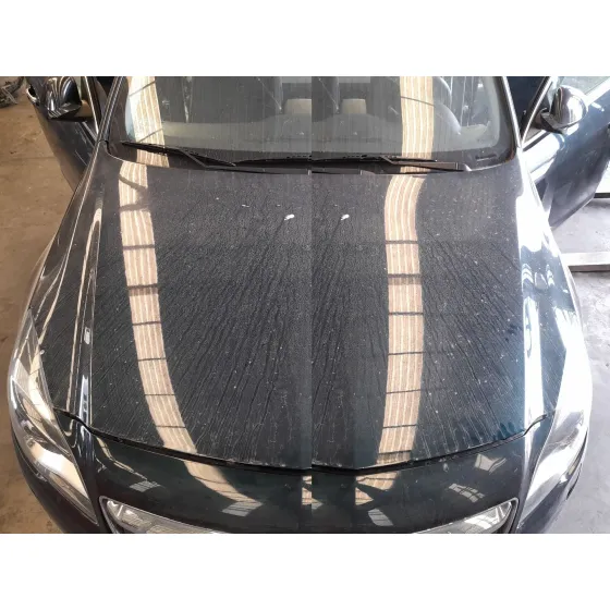 Capot para Opel Insignia A (G09)
