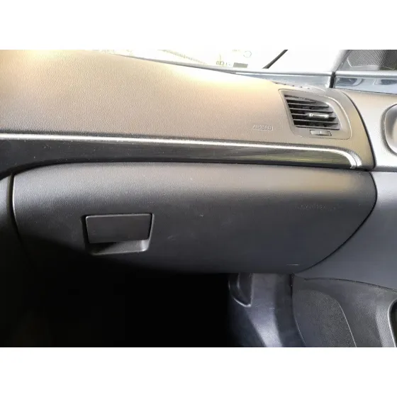 Guantera para Opel Insignia A (G09)