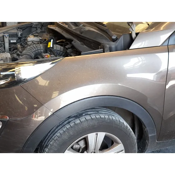Aleta Delantera Izquierda para Kia Sportage Iii (Sl)