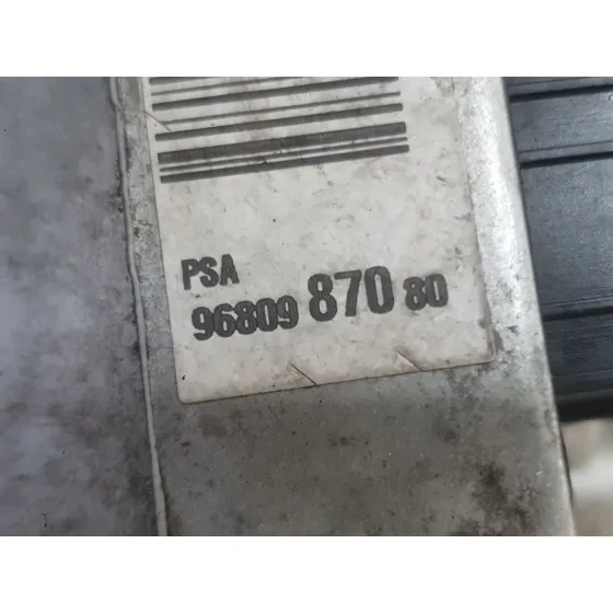 Bomba Direccion Electrica para Peugeot 307 Sw (3H)