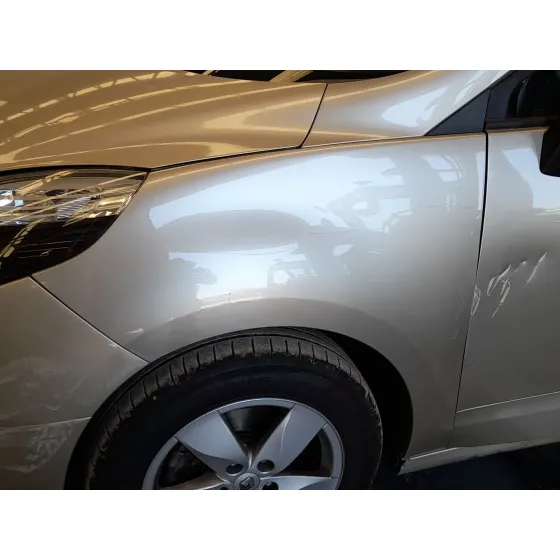 Aleta Delantera Izquierda para Renault Grand Scenic Iii (Jz0/1_)
