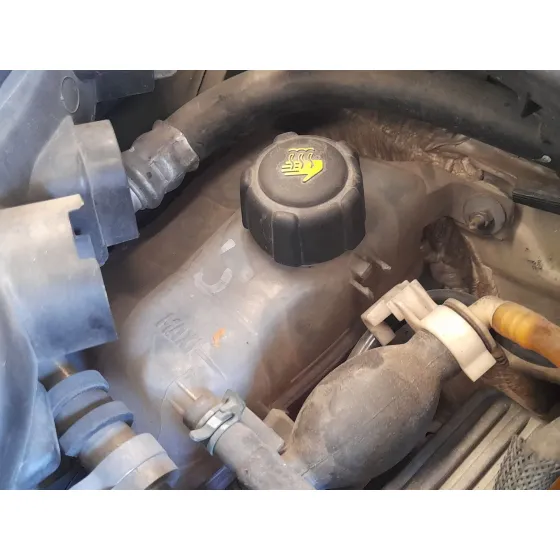 Deposito Expansion para Renault Grand Scenic Iii (Jz0/1_)