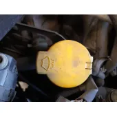 Deposito Limpia para Renault Grand Scenic Iii (Jz0/1_)