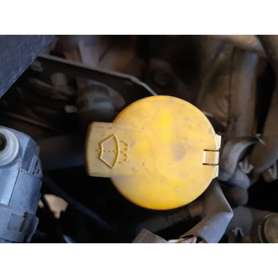 Deposito Limpia para Renault Grand Scenic Iii (Jz0/1_)