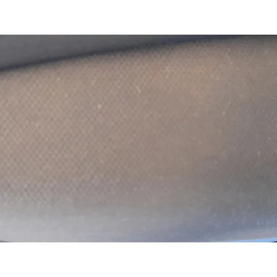 Elevalunas Trasero Izquierdo para Renault Grand Scenic Iii (Jz0/1_)