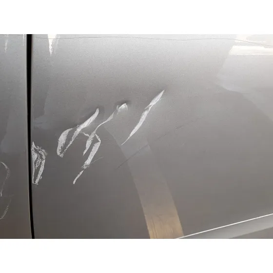 Puerta Delantera Izquierda para Renault Grand Scenic Iii (Jz0/1_)