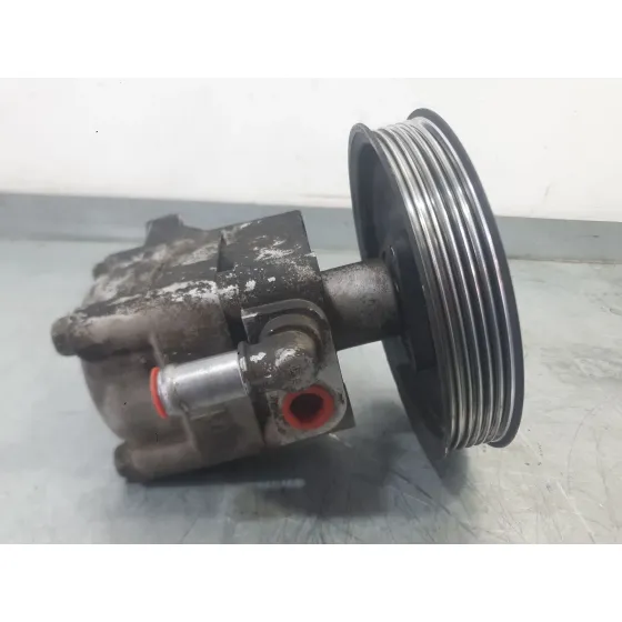 Bomba Direccion para Bmw 3 (E46)