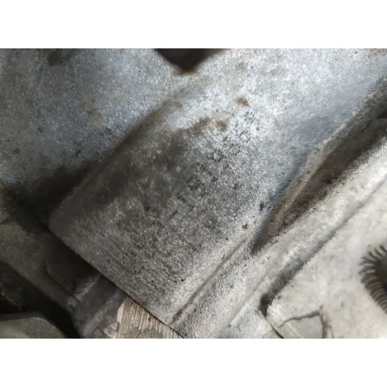 Caja Cambios para Fiat Grande Punto (199_)