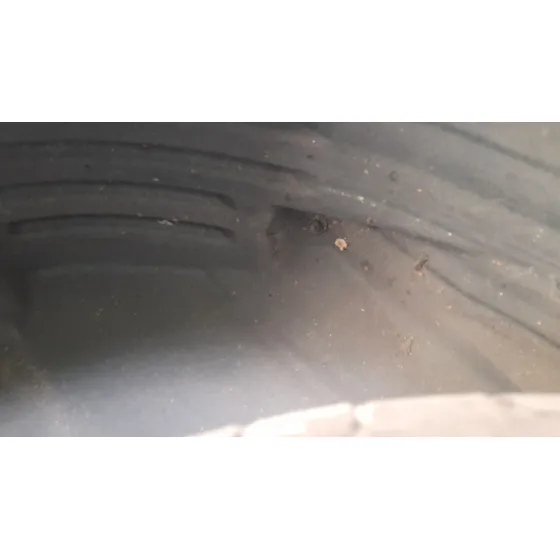 Plastico Pase Rueda Tras. Izq. para Fiat Tipo Station Wagon (356_, 357_)
