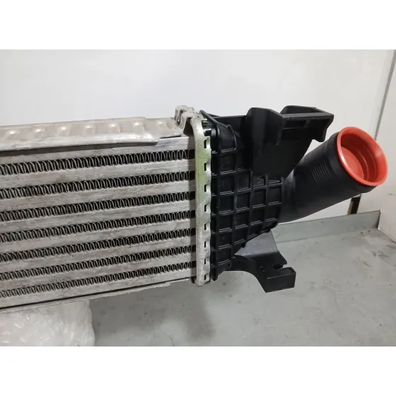 Intercooler para Ford Focus C-Max (Dm2)