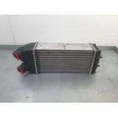 Intercooler para Citroën Xsara Picasso (N68)