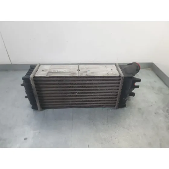 Intercooler para Citroën Xsara Picasso (N68)