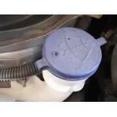 Deposito Limpia para Citroën C3 Iii (Sx)