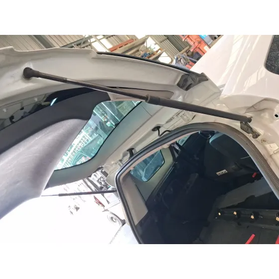 Amortiguadores Maletero / Porton para Renault Grand Scenic Iii (Jz0/1_)