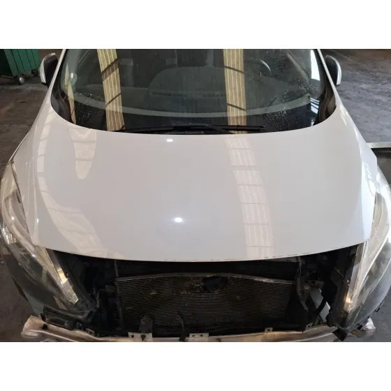 Capot para Renault Grand Scenic Iii (Jz0/1_)