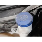 Deposito Limpia para Citroën C4 Cactus