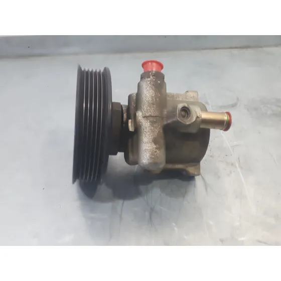 Bomba Direccion para Seat Ibiza Ii (6K1)