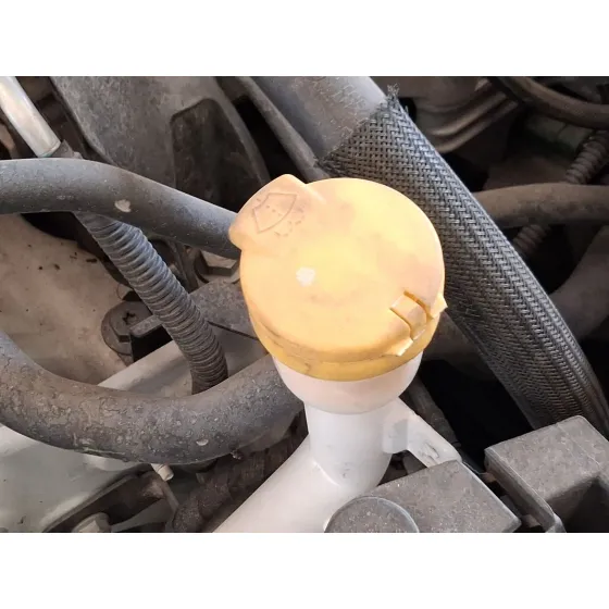 Deposito Limpia para Renault Clio Iv (Bh_)