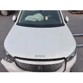 Capot para Peugeot 2008 Ii (Ud_, Us_, Uy_, Uj_, Ur_, Uc_)