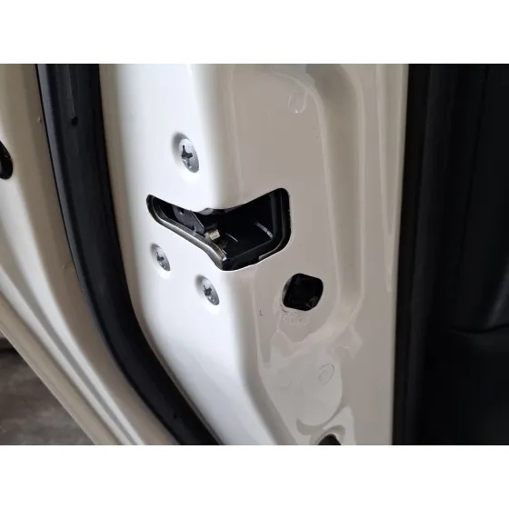 Cerradura Puerta Trasera Izquierda para Nissan Leaf (Ze1)