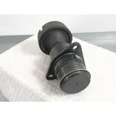 Polea Alternador para Ford Focus C-Max (Dm2)