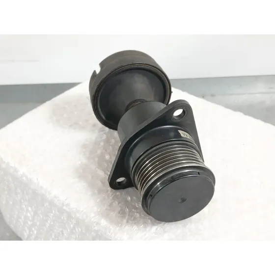 Polea Alternador para Ford Focus C-Max (Dm2)