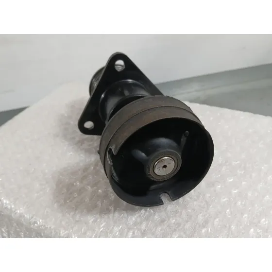 Polea Alternador para Ford Focus C-Max (Dm2)