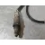 Sonda Lambda para Volkswagen Tiguan (Ad1, Ax1)