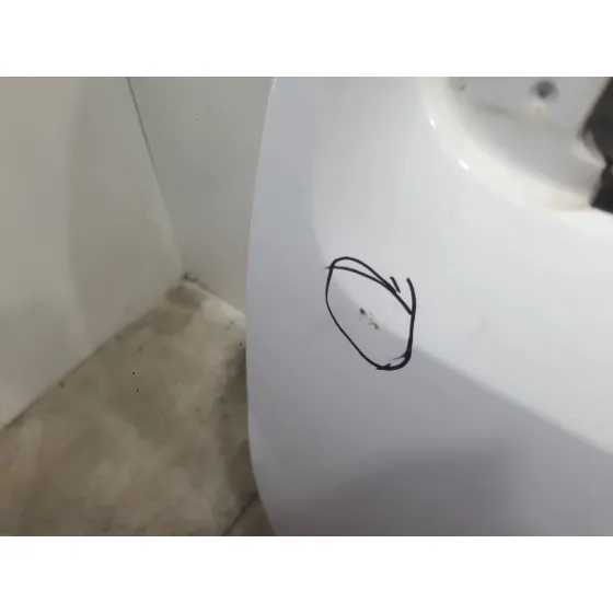 Puerta Delantera Izquierda para Renault Kangoo / Grand Kangoo Ii (Kw0/1_)