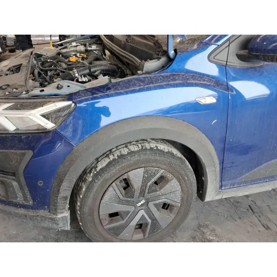 Aleta Delantera Izquierda para Dacia Sandero Iii