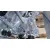 Motor Completo para Mazda 2 Hatchback (Dl, Dj)