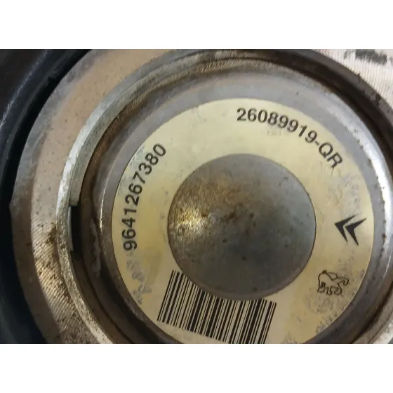 Bomba Direccion para Citroën Xsara (N1)