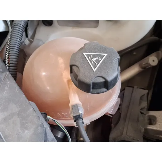 Deposito Expansion para Citroën C3 Iii (Sx)