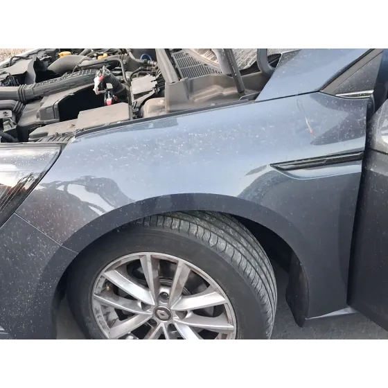 Aleta Delantera Izquierda para Renault Megane Iv Hatchback (B9A/M/N_)