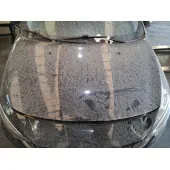 Capot para Fiat Tipo Station Wagon (356_, 357_)